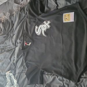 NWT Authentic Mitchell & Ness Chicago White Sox Bo Jackson Mens jersey size 40